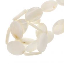 Perles Coquillage (18 x 13 x 4 mm) Beige (22 pièces)