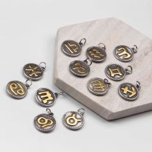 Breloques Signes du Zodiaque Acier Inoxydable (18 x 3 mm) Argent Antique (12 pièces)